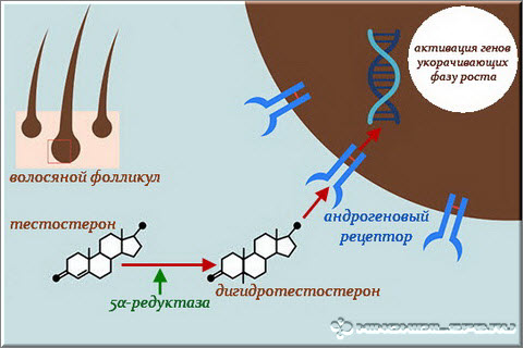PyriPure with PG